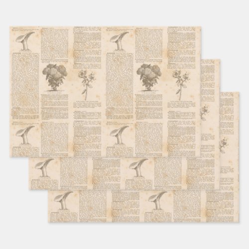 Vintage Botanical Newsprint Wrapping Paper Sheets