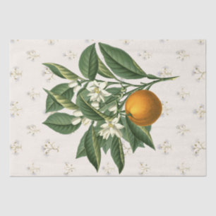 Vintage Botanical Orange Fruit Blossom Beige Tissue Paper