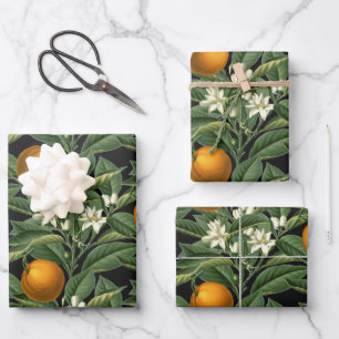 Vintage Botanical Orange Fruit Blossom Black Wrapping Paper Sheets