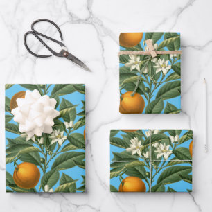 Vintage Botanical Orange Fruit Blossom Blue Wrapping Paper Sheets