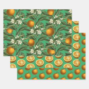 Vintage Botanical Orange Fruit Blossom Pattern Wrapping Paper Sheets