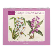 Vintage Botanical Orchid Illustrations 2024 Calendar