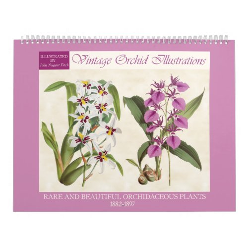 Vintage Botanical Orchid Illustrations 2024 Calendar