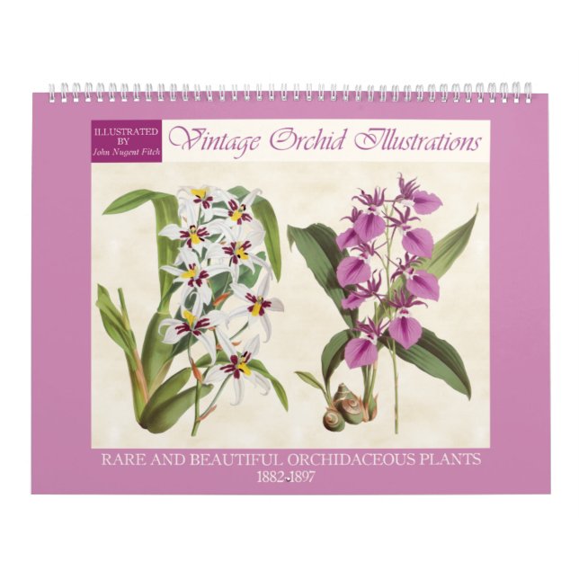 Vintage Botanical Orchid Illustrations 2026 Calendar (Cover)