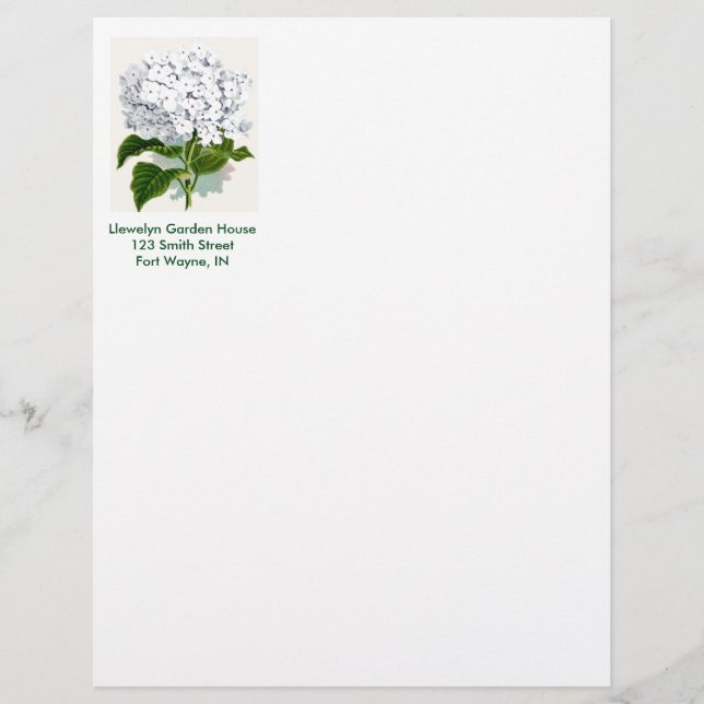 Vintage Botanical Page - White Hydrangea (Front)