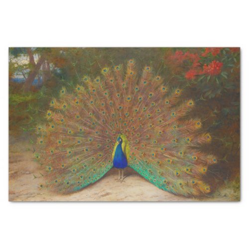 Vintage Botanical Peacock Peacocks Peafowl Tissue Paper