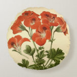 Vintage Botanical Pelargonium Grandiflorum Illustr Round Pillow