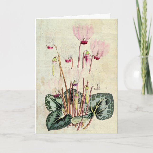 Vintage Botanical Persian Cyclamen Card (Front)