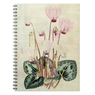 Vintage Botanical Persian Cyclamen Notebook