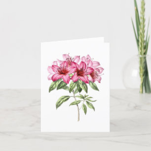 Vintage Botanical Pink Azalea Note Card