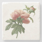 Vintage Botanical Pink Rose