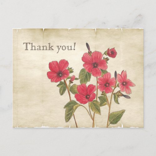Vintage Botanical Pink Wildflowers Thank You Postcard