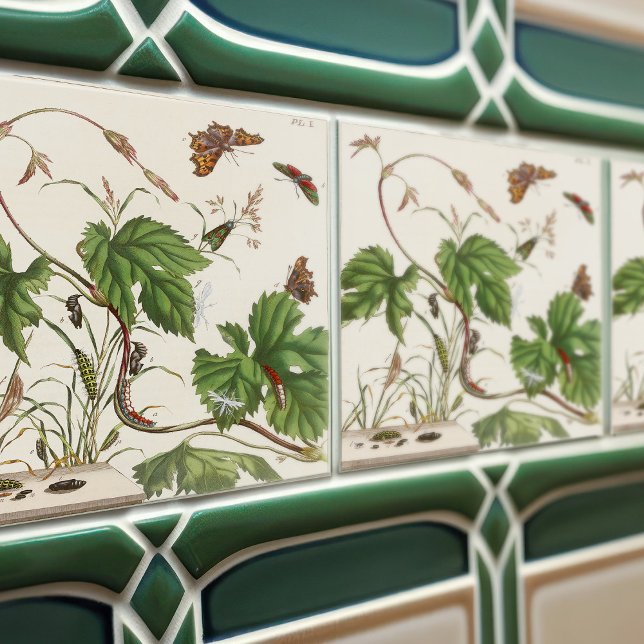 Vintage Botanical Plants and Insects Atlas Ceramic Tile (Creator Uploaded)