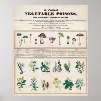 Vintage Botanical Poisonous Plants Educational Poster | Zazzle