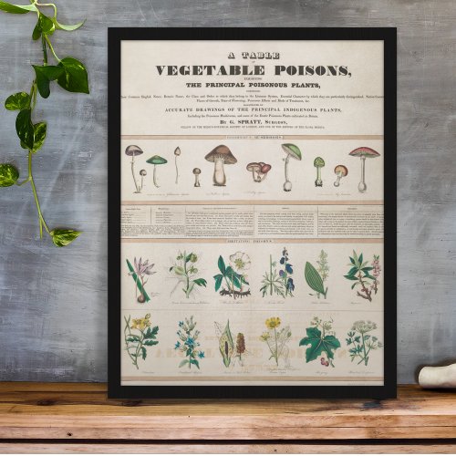 Vintage Botanical Poisonous Plants Educational Poster