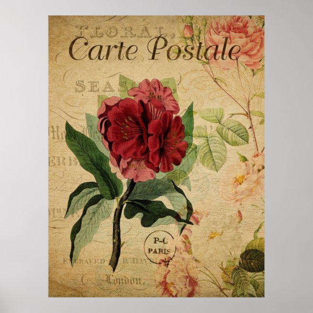 Vintage Botanical Poster - Rhododenron (Front)