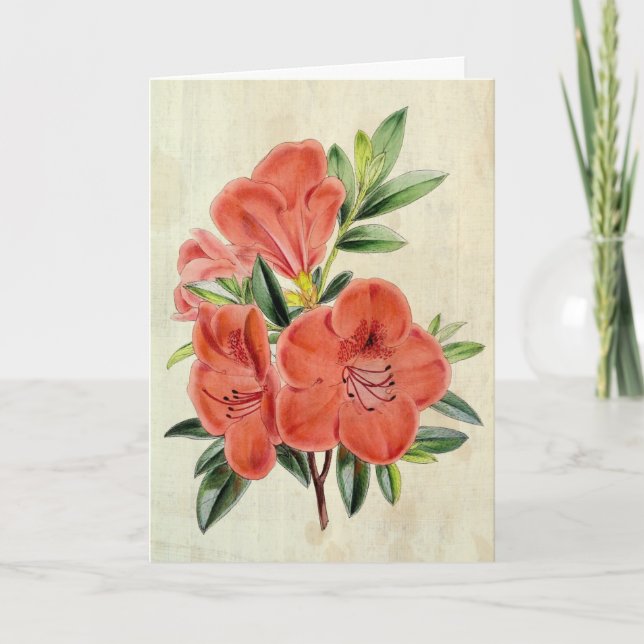 Vintage Botanical President Azalea Card (Front)