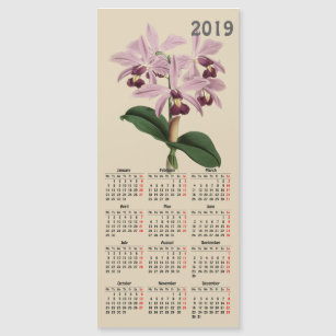 vintage botanical print 2019 calendar
