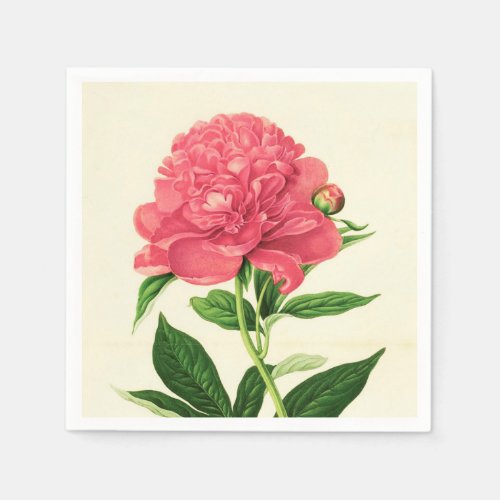 Vintage Botanical Print Coral Pink Peony Paper Napkins