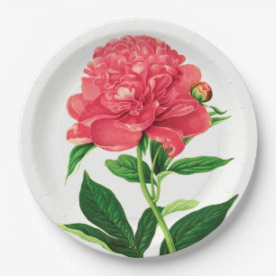 Vintage Botanical Print, Coral Pink Peony Paper Plates