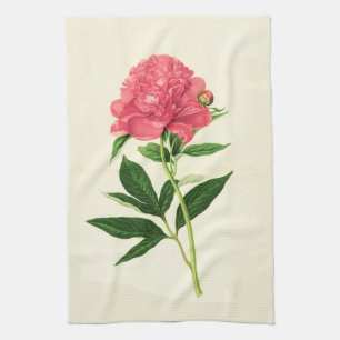 Vintage Botanical Print, Coral Pink Peony Towel