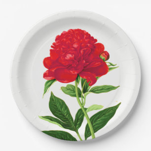 Vintage Botanical Print, Deep Red Peony Paper Plates