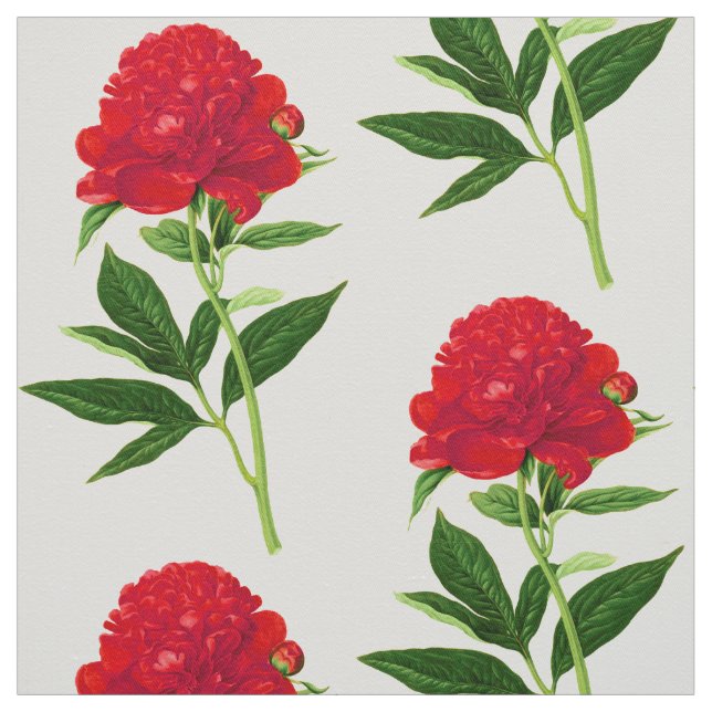 Vintage Botanical Print, Large Red Peony Fabric (Swatch)