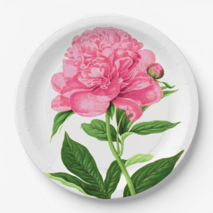 Vintage Botanical Print, Pastel Pink Peony Paper Plates