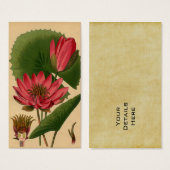 Vintage Botanical Print Pink Water Lily Lotus (Front & Back)