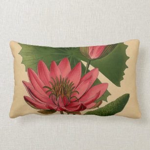 Vintage Botanical Print Pink Water Lily Lotus Lumbar Pillow