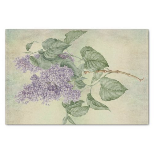Vintage Botanical Purple Lilac Syringa Vulgaris Tissue Paper