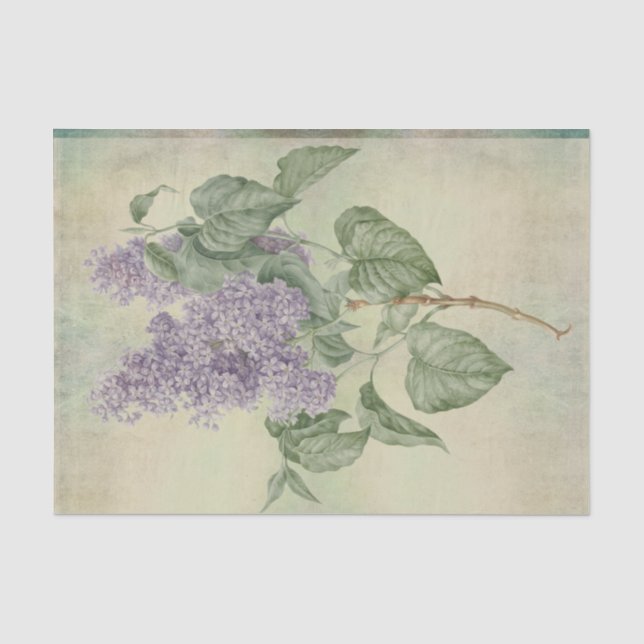 Vintage Botanical Purple Lilac Syringa Vulgaris Tissue Paper (Front)