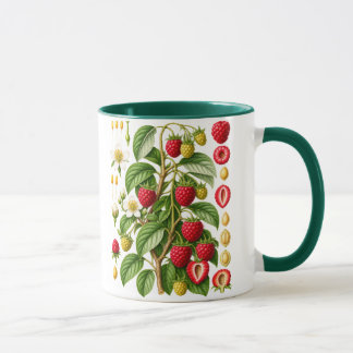 Vintage Botanical Raspberry Illustration Mug
