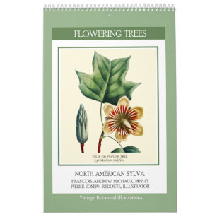 Vintage Botanical Redoute Flowering Trees 2024 Calendar