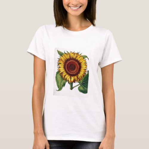 Vintage Botanical _ Sunflower T_Shirt