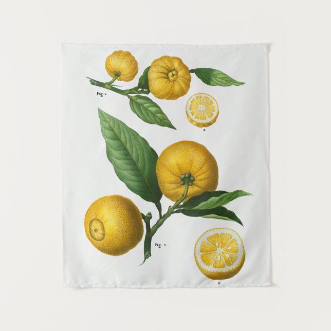 vintage Botanical Tapestry (Front)