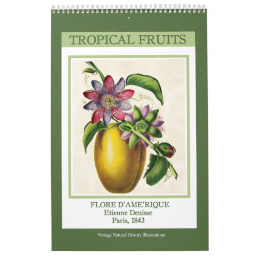 Vintage Botanical Tropical Fruits 2024 Calendar