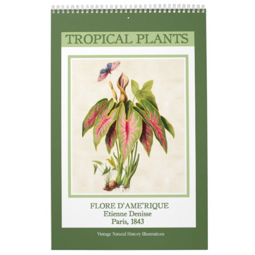 Vintage Botanical Tropical Plants 2024 Calendar