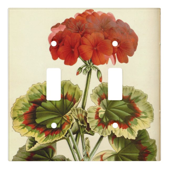 Vintage Botanical Variegated Red Geranium Light Switch Cover (Front)