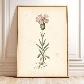 Vintage Botanical Wall Print Gallery