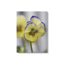 Vintage Botanical - yellow and purple Pansies