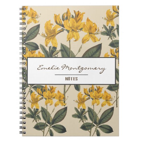 Vintage Botanical Yellow Azalea Flowers  Name Notebook