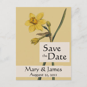 Vintage Botanicals Daffodil Save the Date Postcard