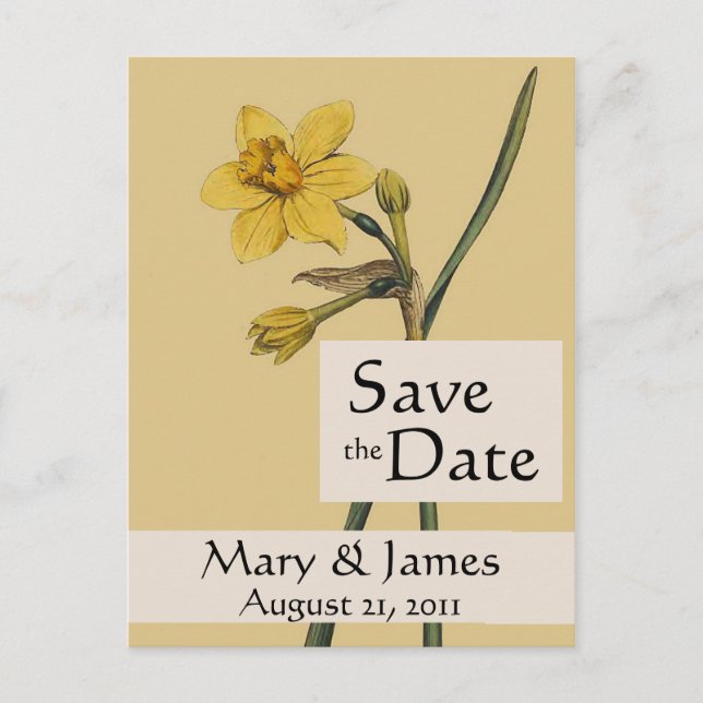 Vintage Botanicals Daffodil Save the Date Postcard (Front)