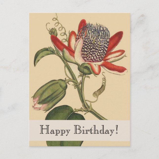 Vintage Botanicals Happy Birthday Postcard (Front)