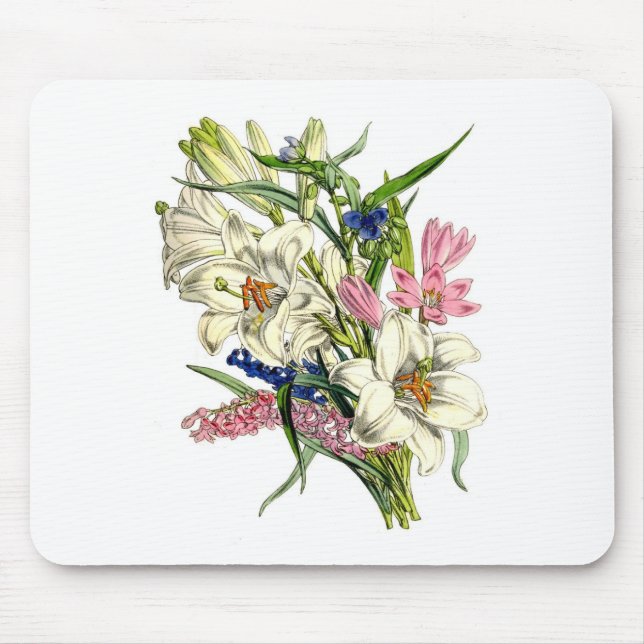 Vintage Botanicals Illustrations Mouse Pad (Front)