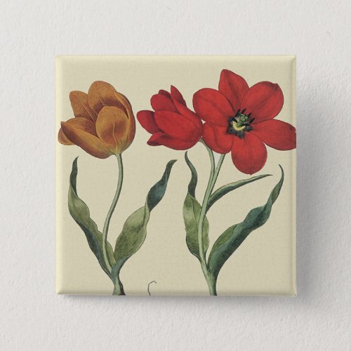 Vintage Botany Blooming Tulip Flowers and Bulbs Button