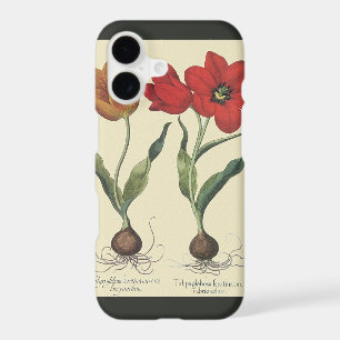 Vintage Botany, Blooming Tulip Flowers and Bulbs iPhone 17 Case