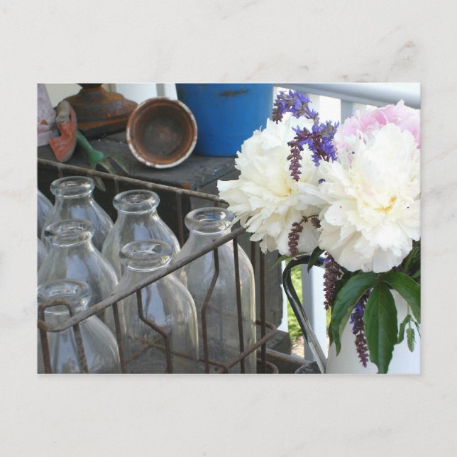 Vintage Bottles - Thinking of You Postcard (Front)