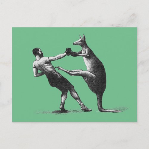 Vintage Boxing kangaroo Postcard